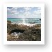 The Atlantic side of Cozumel is rocky with many natural bridges Art Print