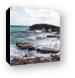 The Atlantic side of Cozumel is rocky with many natural bridges Canvas Print