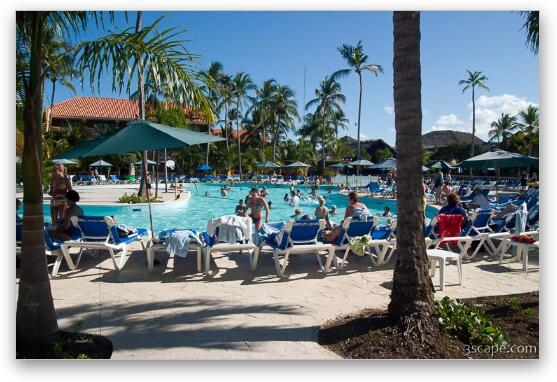 The pool life at the Allegro Punta Cana Resort Fine Art Print