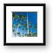 Tall palm trees on the beach Framed Print