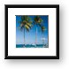 Tall palm trees on the beach Framed Print