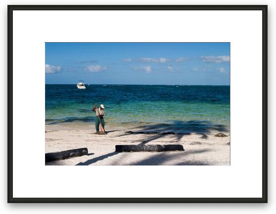 Every day, sea weed was cleaned up Framed Fine Art Print