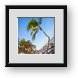 Buy Framed Print