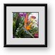 Buy Framed Print