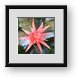 Buy Framed Print