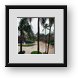 Buy Framed Print
