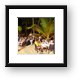 One night during the week, there was a beach party and buffet Framed Print