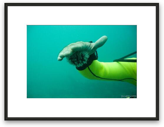 Michael showing off a sea creature Framed Fine Art Print