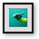 Buy Framed Print