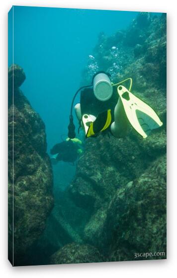 Patti swimming through a coral canyon Fine Art Canvas Print