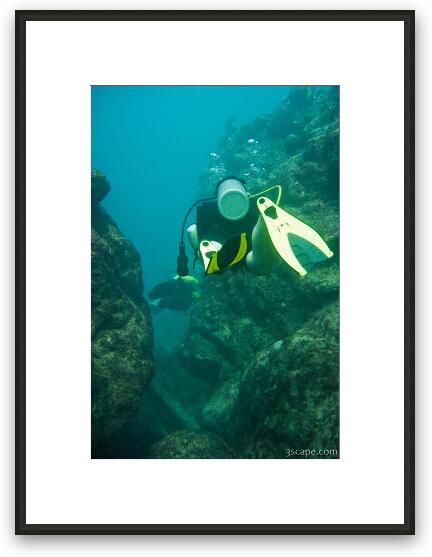 Patti swimming through a coral canyon Framed Fine Art Print
