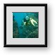 Buy Framed Print
