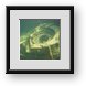 Buy Framed Print