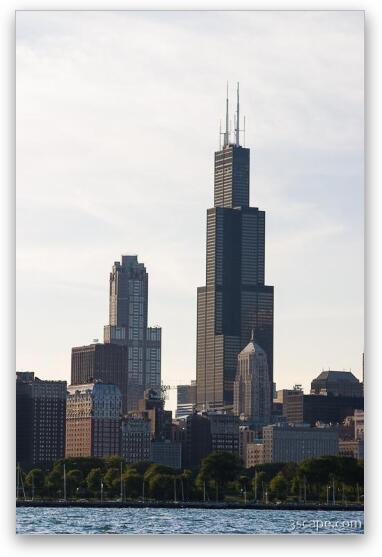 311 S. Wacker Building and the Willis (Sears) Tower Fine Art Metal Print