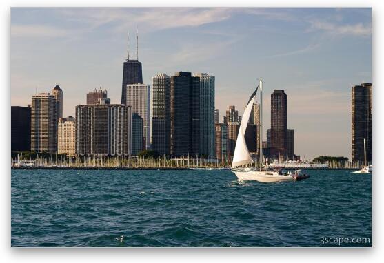 Sailboat and Chicago Skyline Fine Art Print