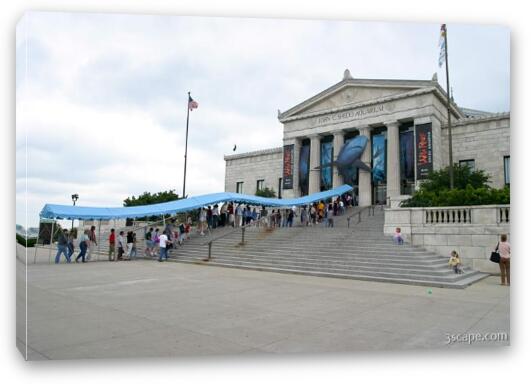 Lines at the Shedd for the new Wild Reef exhibit Fine Art Canvas Print