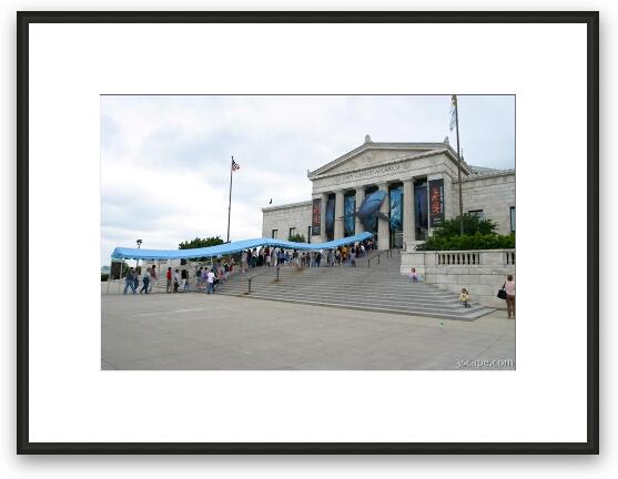 Lines at the Shedd for the new Wild Reef exhibit Framed Fine Art Print