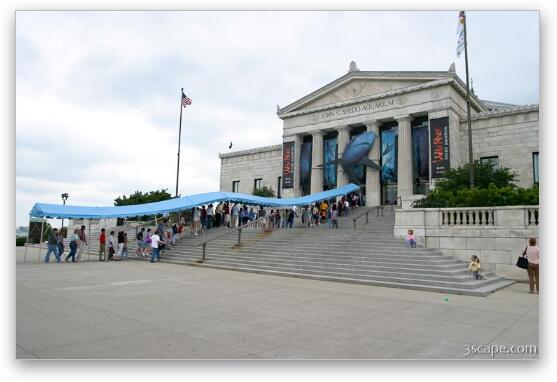Lines at the Shedd for the new Wild Reef exhibit Fine Art Metal Print
