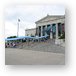 Lines at the Shedd for the new Wild Reef exhibit Metal Print