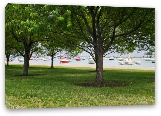 Trees and boats Fine Art Canvas Print
