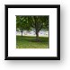 Trees and boats Framed Print