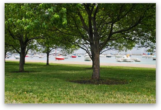 Trees and boats Fine Art Metal Print