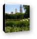 Sears Tower from Grant Park Canvas Print