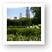 Sears Tower from Grant Park Art Print