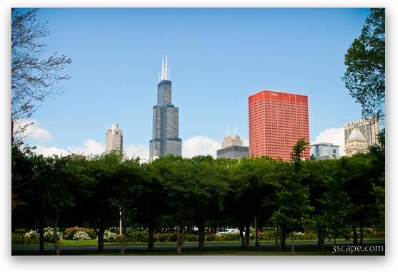 Sears Tower from Grant Park Fine Art Metal Print