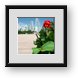 Buy Framed Print