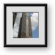 Buy Framed Print