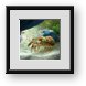 Buy Framed Print