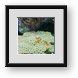 Buy Framed Print