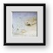 Buy Framed Print