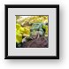 Buy Framed Print