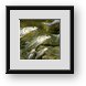 Buy Framed Print