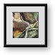 Buy Framed Print