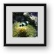 Buy Framed Print