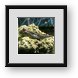 Buy Framed Print