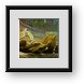 Buy Framed Print