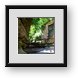 Buy Framed Print