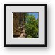 Buy Framed Print