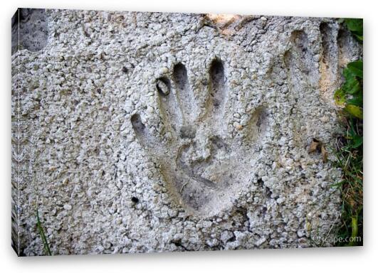 Hand print in cement Fine Art Canvas Print