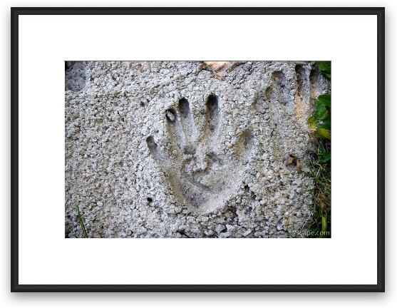 Hand print in cement Framed Fine Art Print