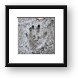 Buy Framed Print