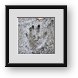 Buy Framed Print