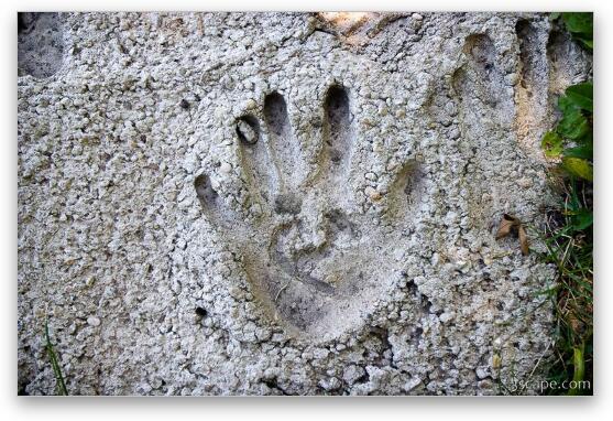 Hand print in cement Fine Art Metal Print