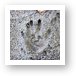 Hand print in cement Art Print