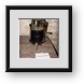 Buy Framed Print