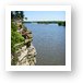 The Illinois River looking from Starved Rock State Park Art Print